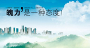 “泰芒了加盟排行”